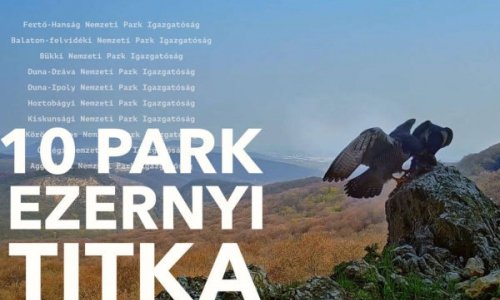 Csodálatos felvételek és titkos pillanatok Magyarország nemzeti parkjainak mindennapjaiból…